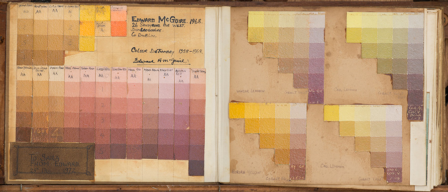 Video: IMMA Collection | Edward McGuire's Colour Dictionary